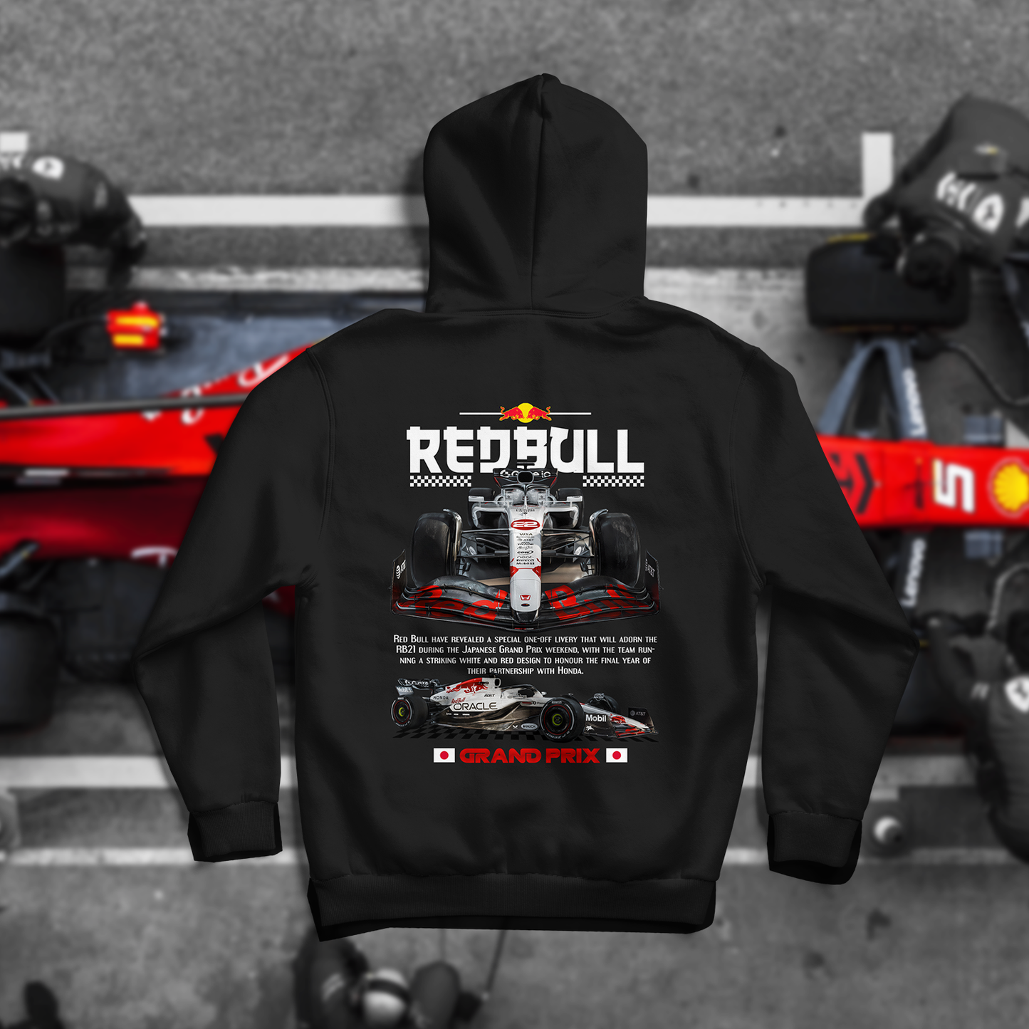 F1 RedBull duks